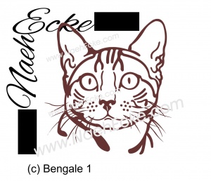 Bengal / Benagle