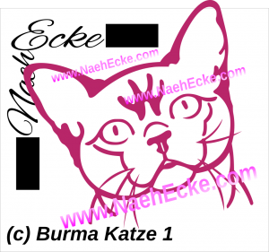 Burma Katze