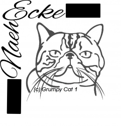 Aufkleber Exotic Shorthair 1