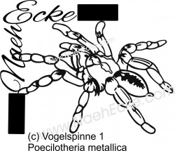 Aufkleber Vogelspinne 1 Poecilotheria metallica