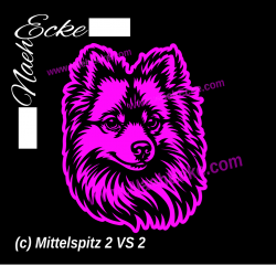 Aufkleber Mittelspitz 2