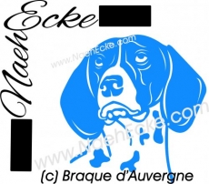 Aufkleber Braque d’Auvergne 