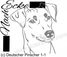 Sticker German Pinscher 1-1 