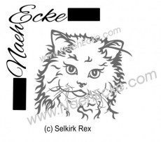 Aufkleber Selkirk Rex 