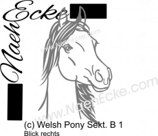 Aufkleber Welsh-Pony Sektion B 1 