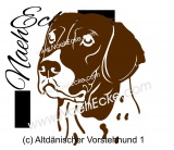 Aufkleber Altdänischer Vorstehhund 1