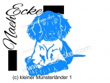 Aufkleber kleiner Münsterländer 1