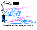 Aufkleber Rhodesian Ridgeback 09