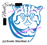 Sticker Exotic Shorthair 2