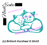 Aufkleber Britisch Kurzhaar 8