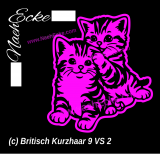 Aufkleber Britisch Kurzhaar 09
