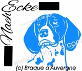 Sticker Braque d’Auvergne 