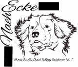 Aufkleber Nova Scotia Duck Tolling Retriever Nr. 1 