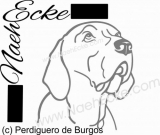 Aufkleber Perdiguero de Burgos 