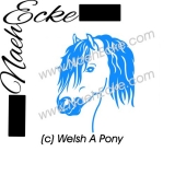 Sticker Welsh-Pony Sektion A 1 