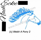 Aufkleber Welsh-Pony Sektion A 2 