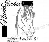 Aufkleber Welsh-Pony Sektion C 1 