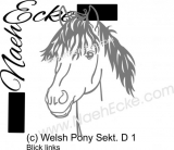 Aufkleber Welsh-Pony Sektion D 1 