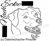 Sticker Austrian Pinscher 